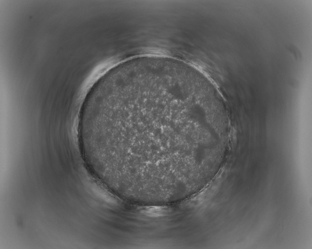 X0000111860151200908061343