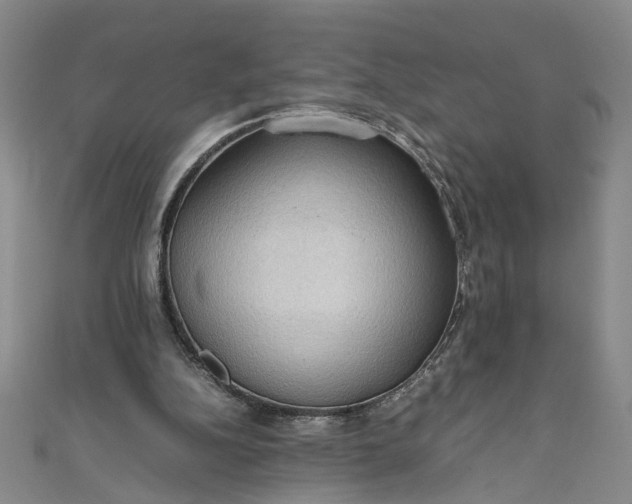 X0000111860152200908061343