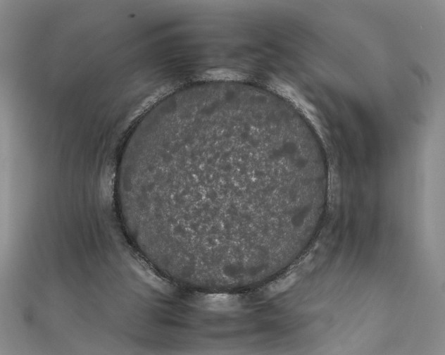 X0000111860153200908061343