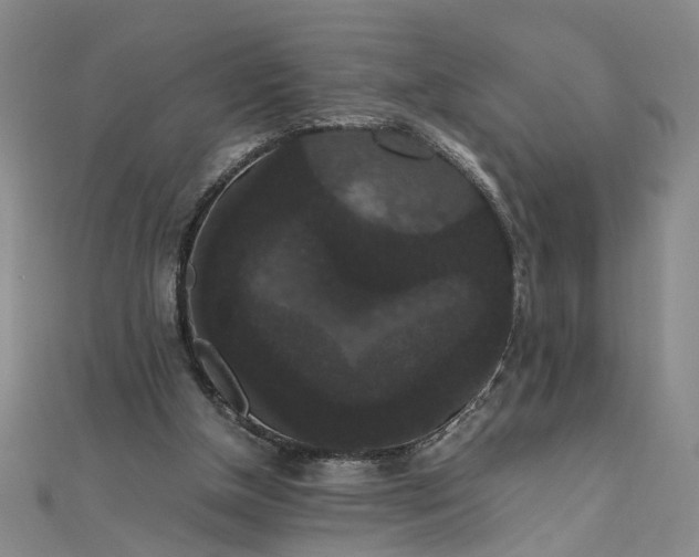 X0000111860154200908061343