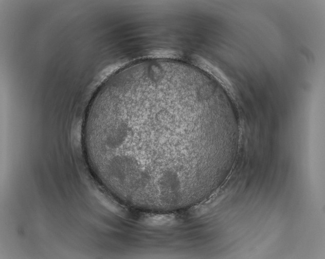 X0000111860155200908061343