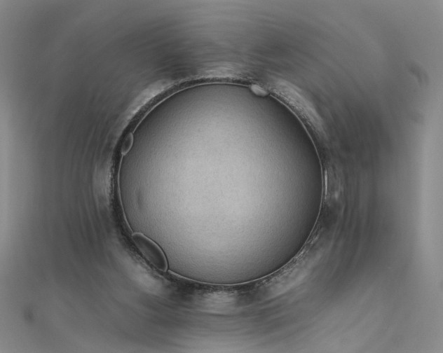 X0000111860156200908061343