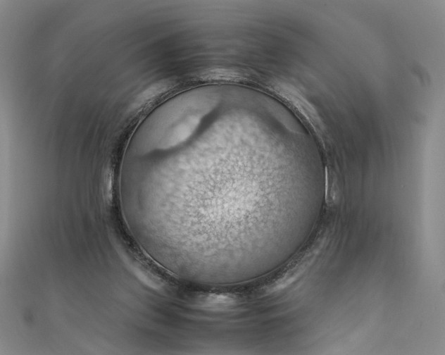 X0000111860157200908061343