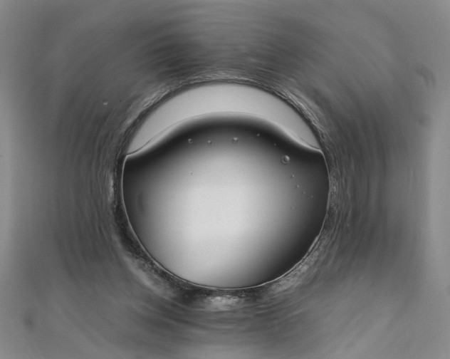 X0000111860158200908061343