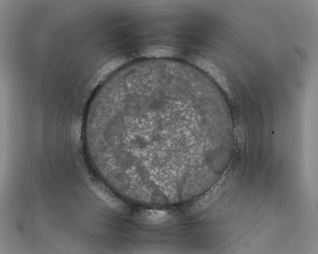 X0000111860159200908061343