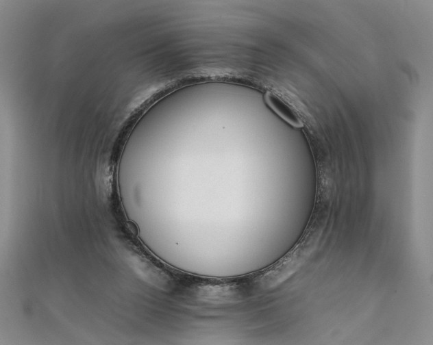 X0000111860160200908061343