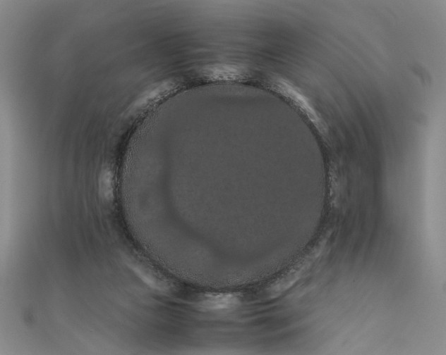 X0000111860161200908061343