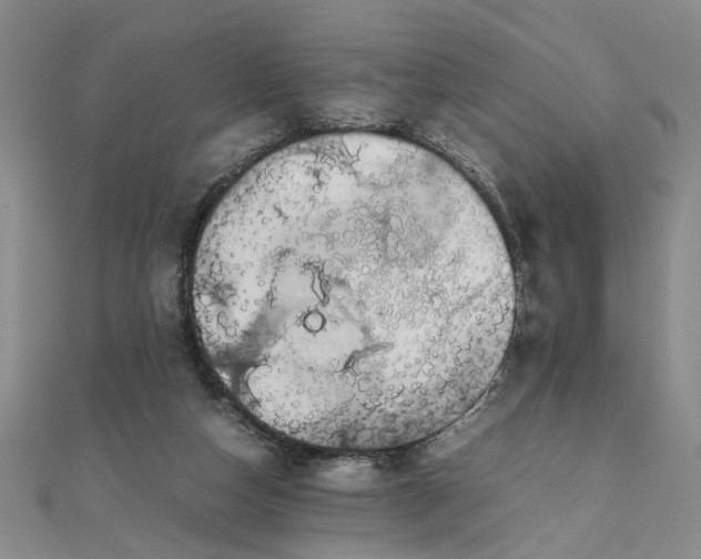 X0000111860162200908061343