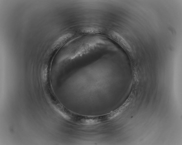 X0000111860163200908061343