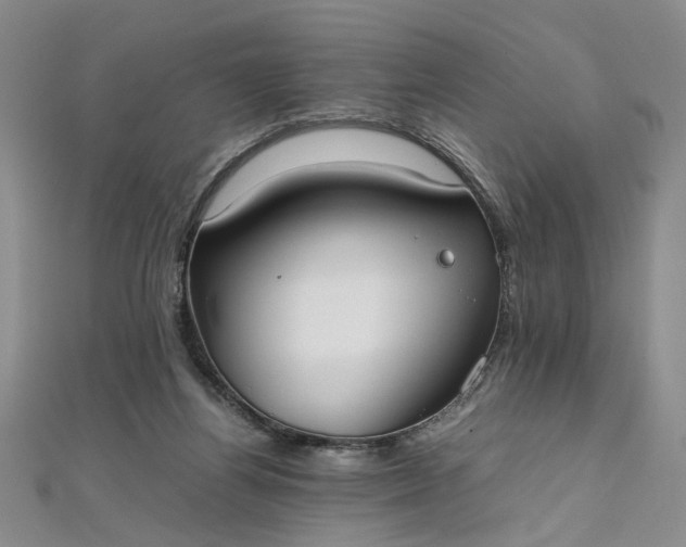 X0000111860164200908061343