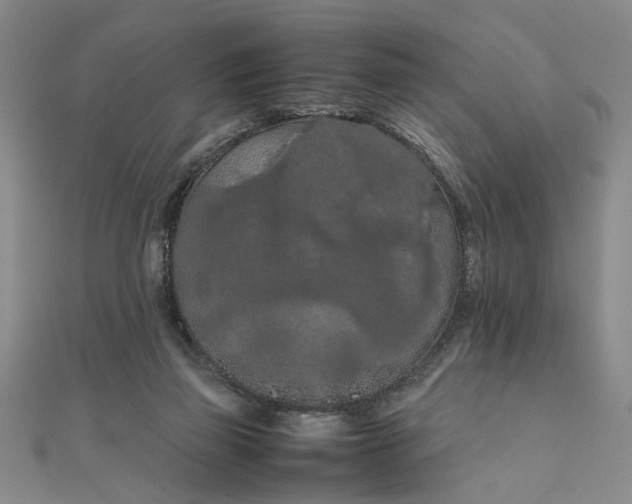 X0000111860165200908061343