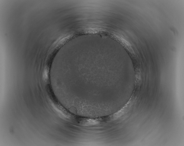 X0000111860166200908061343