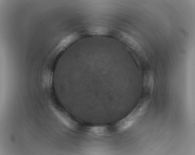 X0000111860168200908061343