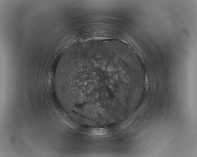 X0000111860169200908061343