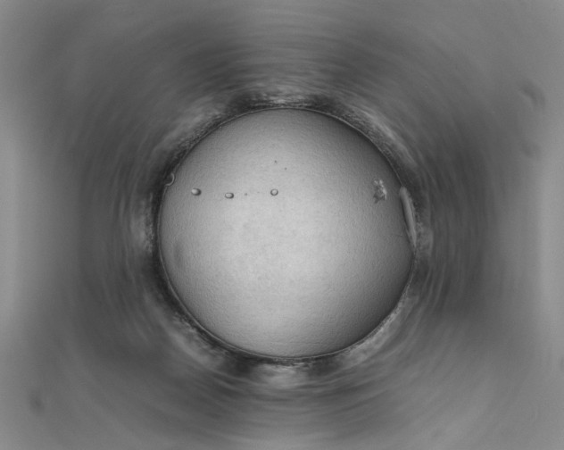 X0000111860170200908061343