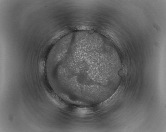 X0000111860171200908061343