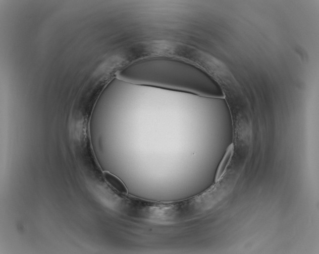 X0000111860172200908061343