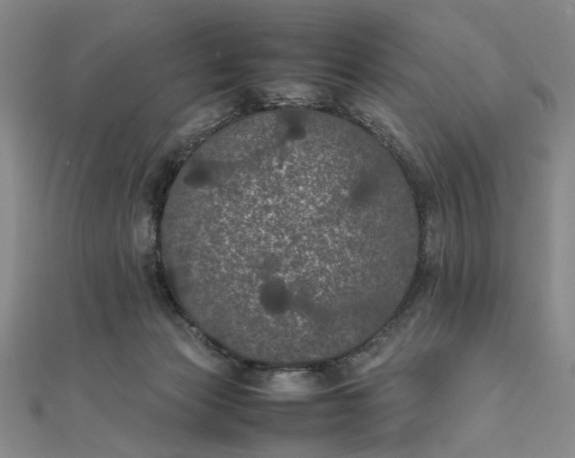 X0000111860173200908061343