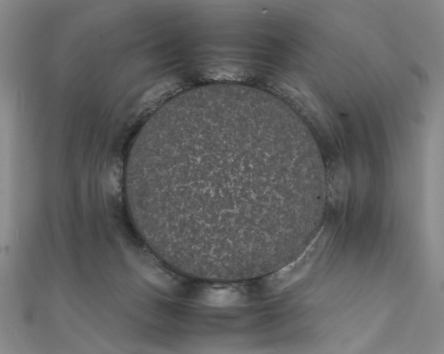 X0000111860175200908061343