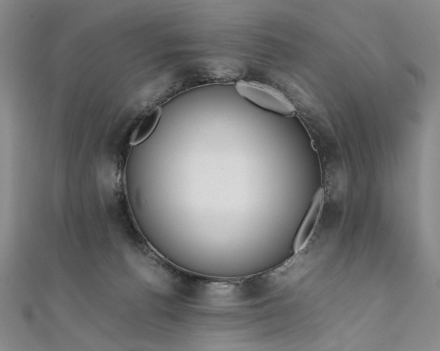 X0000111860176200908061343