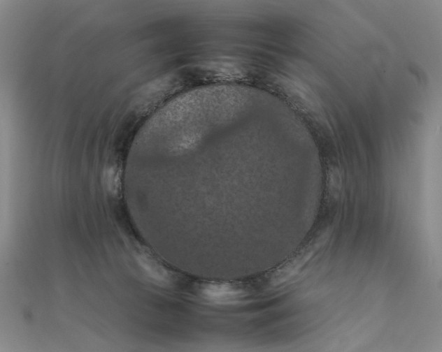 X0000111860177200908061343