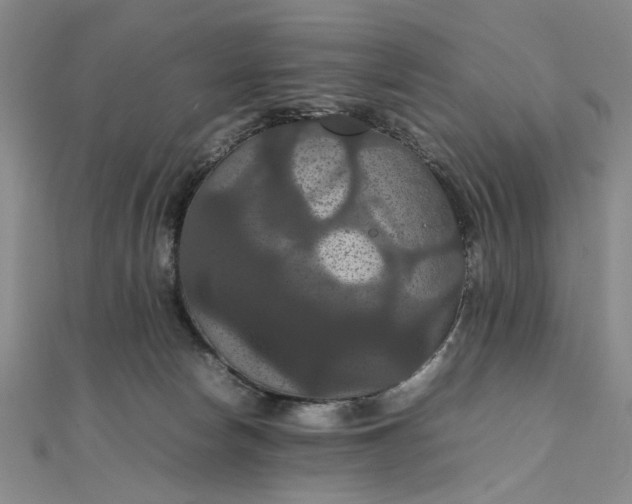 X0000111860178200908061343