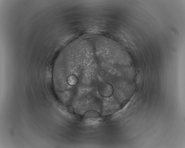 X0000111860179200908061343