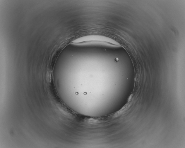 X0000111860180200908061343