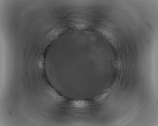 X0000111860181200908061343