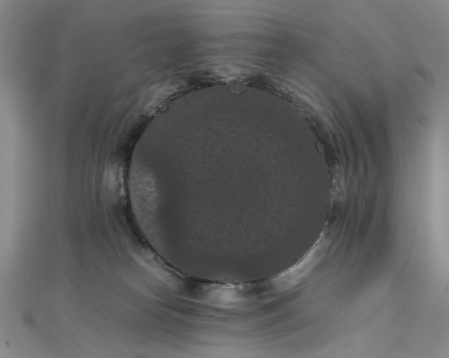 X0000111860182200908061343