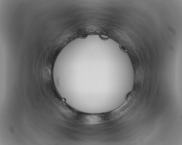 X0000111860183200908061343