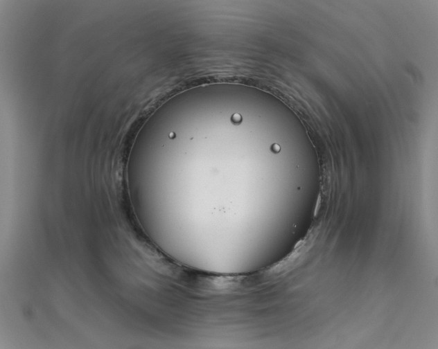 X0000111860184200908061343