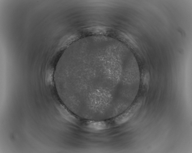 X0000111860185200908061343