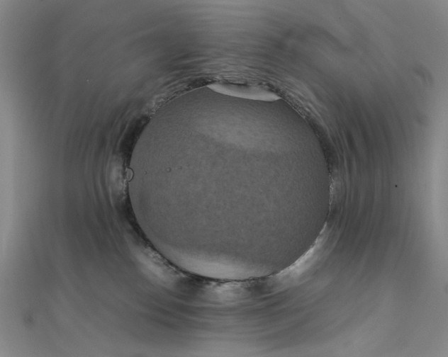 X0000111860186200908061343