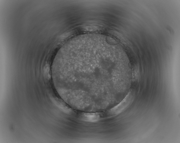 X0000111860187200908061343