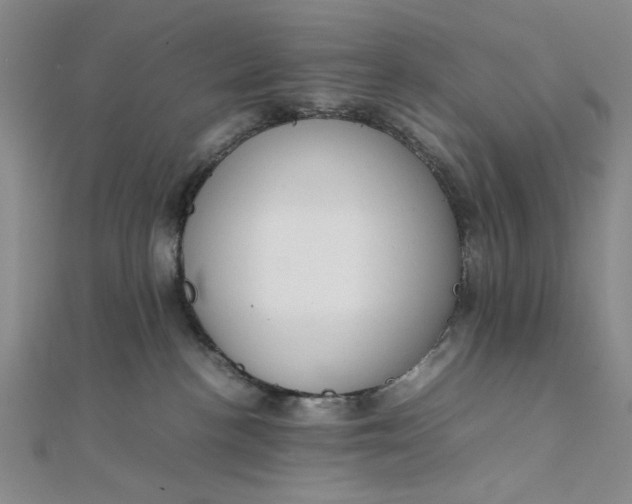 X0000111860188200908061343