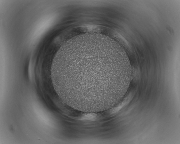 X0000111860189200908061343