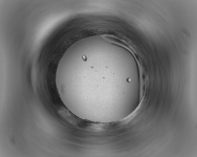 X0000111860190200908061343