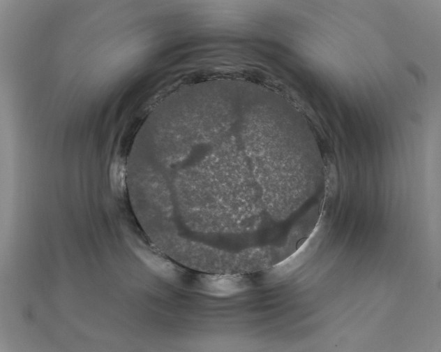 X0000111860191200908061343