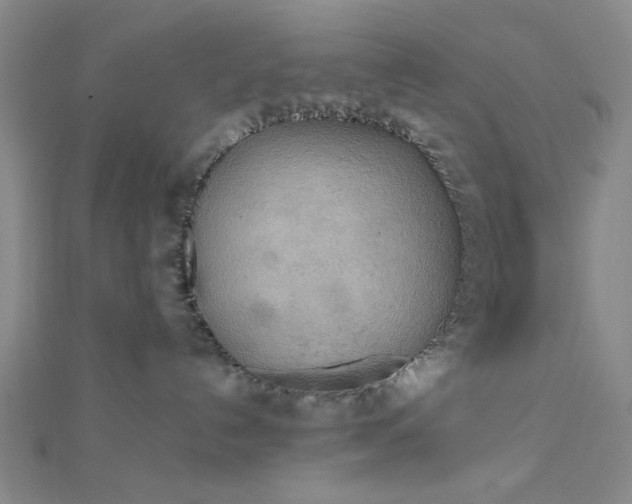 X0000111860192200908061343