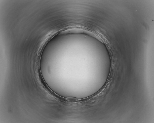 X0000111860193200908061343