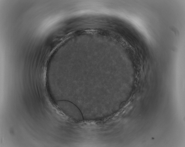 X0000111860194200908061343