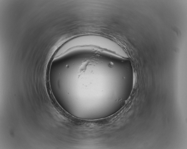 X0000111860195200908061343