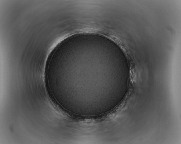 X0000111860196200908061343