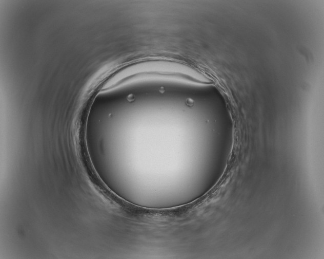 X0000111860197200908061343