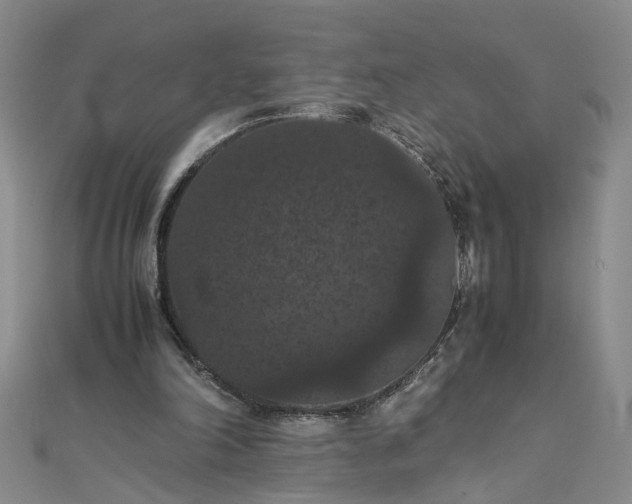 X0000111860198200908061343