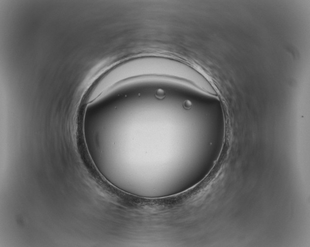 X0000111860199200908061343