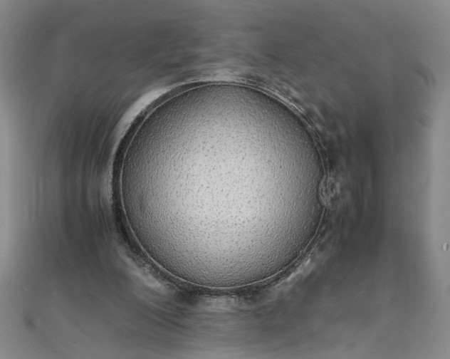 X0000111860200200908061342