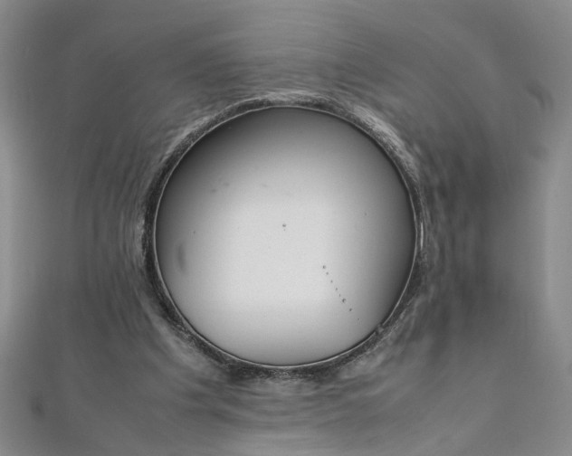 X0000111860201200908061342