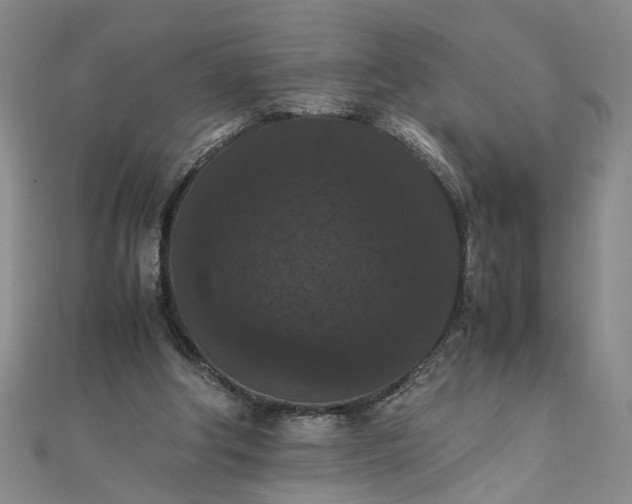 X0000111860202200908061342